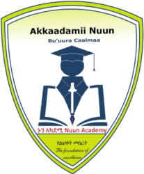 NUUN Academy Logo
